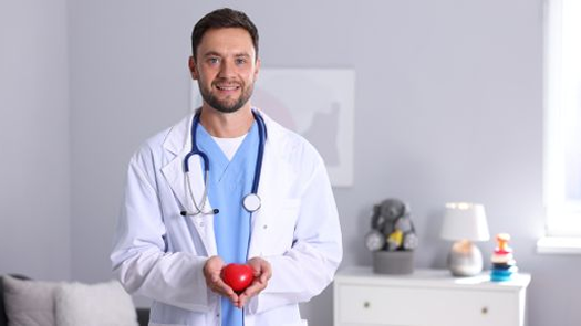 Doctor holding a heart model in a medical office